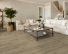 Picture of Shaw Floors - Supino HD Plus Tostata