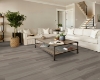 Picture of Shaw Floors - Supino HD Plus Natural Bevel Smoke