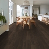 Picture of Shaw Floors - Surpass Plank Canon