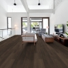 Picture of Shaw Floors - Surpass Plank Canon