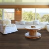 Picture of Shaw Floors - Surpass Plank Canon