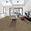Picture of Shaw Floors - Surpass Plank Chaucer