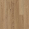 Picture of Shaw Floors - Surpass Plank Craftsman