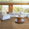 Picture of Shaw Floors - Surpass Plank Craftsman