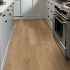 Picture of Shaw Floors - Surpass Plank Craftsman