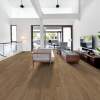 Picture of Shaw Floors - Surpass Plank Craftsman