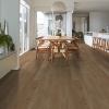 Picture of Shaw Floors - Surpass Plank Craftsman