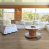 Picture of Shaw Floors - Surpass Plank Expose