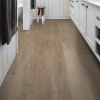 Picture of Shaw Floors - Surpass Plank Expose