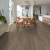 Picture of Shaw Floors - Surpass Plank Expose