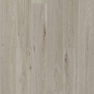 Picture of Shaw Floors - Surpass Plank Guild