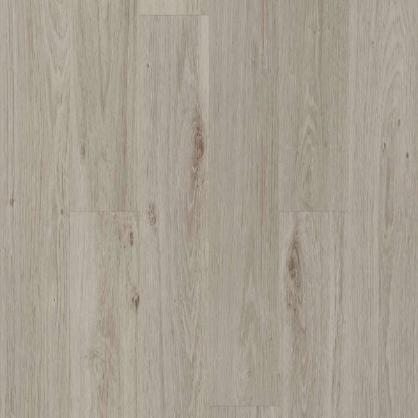 Picture of Shaw Floors - Surpass Plank Guild