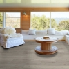Picture of Shaw Floors - Surpass Plank Guild