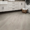 Picture of Shaw Floors - Surpass Plank Guild