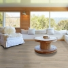 Picture of Shaw Floors - Surpass Plank Morris