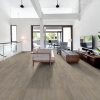 Picture of Shaw Floors - Surpass Plank Morris