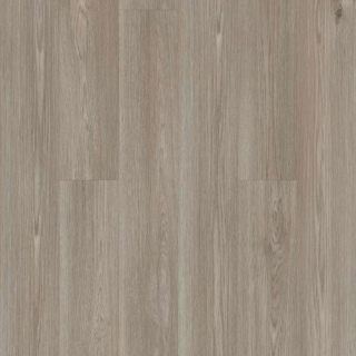Picture of Shaw Floors - Surpass Plank Muse