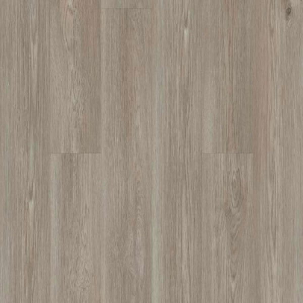 Picture of Shaw Floors - Surpass Plank Muse