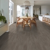Picture of Shaw Floors - Surpass Plank Muse