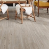 Picture of Shaw Floors - Surpass Plank Muse