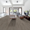 Picture of Shaw Floors - Surpass Plank Muse