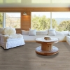 Picture of Shaw Floors - Surpass Plank Muse