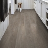 Picture of Shaw Floors - Surpass Plank Muse