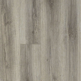 Picture of Shaw Floors - Tivoli Plus Lince