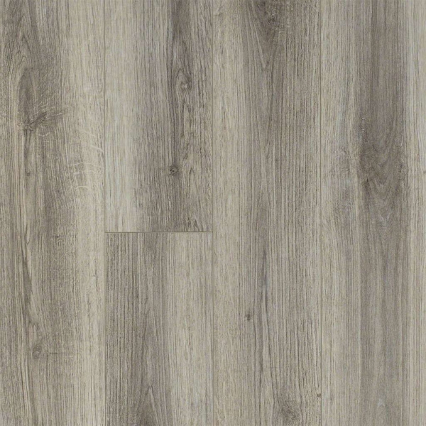 Picture of Shaw Floors - Tivoli Plus Lince