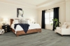 Picture of Shaw Floors - Tivoli Plus Pecorino
