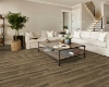 Picture of Shaw Floors - Tivoli Plus Riva