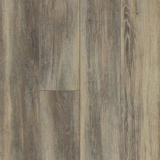 Picture of Shaw Floors - Tivoli Plus Sabbia