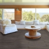 Picture of Shaw Floors - Uptown Now 12 Michigan Avenue
