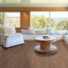 Picture of Shaw Floors - Uptown Now 12 Rush Street