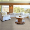 Picture of Shaw Floors - Uptown Now 12 Sweet Auburn