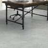 Picture of Shaw Floors - Urban Organics Pearl