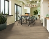 Picture of Philadelphia Commercial by Shaw - Fortitude Driftwood