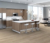 Picture of Philadelphia Commercial by Shaw - Fortitude Spalted Maple