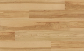 Picture of Create Flooring - Atlantic Cape Fear