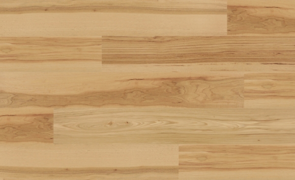 Picture of Create Flooring - Atlantic Cape Fear