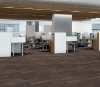 Picture of Philadelphia Commercial by Shaw - In the Grain II 20 Briarwood