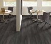 Picture of Philadelphia Commercial by Shaw - In the Grain II 20 Ember