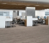 Picture of Philadelphia Commercial by Shaw - Purview 20 Nomadic
