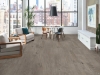 Picture of Philadelphia Commercial by Shaw - Purview 5.0 Nomadic