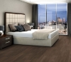 Picture of Philadelphia Commercial by Shaw - Silva Valley 5.0 Saguaro
