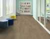 Picture of Philadelphia Commercial by Shaw - Silva Valley 5.0 St Helens