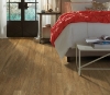 Picture of Philadelphia Commercial by Shaw - Sustain 12 Farro