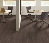 Picture of Philadelphia Commercial by Shaw - Sustain 20 Barley