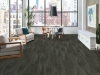 Picture of Philadelphia Commercial by Shaw - Sustain 20 Freekah