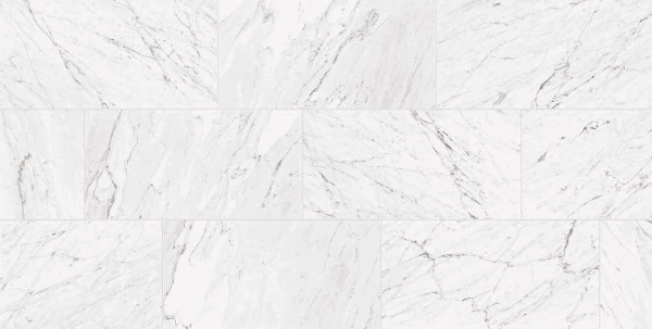 Picture of Chesapeake Flooring - Lexington 12x24 Carrara White Matte